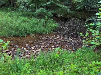 TBA Old Green Mountain Rd unit 500, Esmont, VA 22937 - photo 3