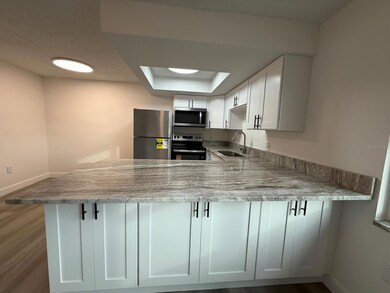 6125 Chesham Dr unit 1, New Port Richey, FL 34653 - photo 5