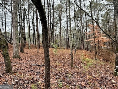 17 Chattahoochee Dr, Hogansville, GA 30230 - photo 6