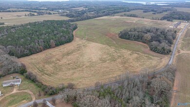 26 Acres Cooper Ln, Rogersville, AL 35652 - photo 6