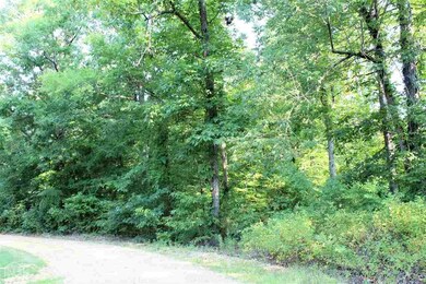 6985 560 Gr, Paragould, AR 72450 - photo 5