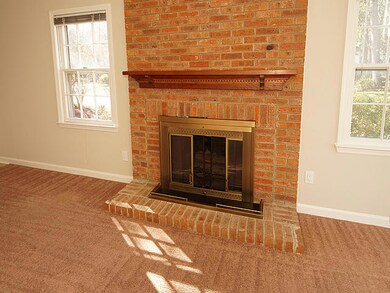 Wood-Burning Fireplace