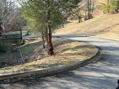 Lot 18 J E D Trail, Sevierville, TN 37862 - photo 6