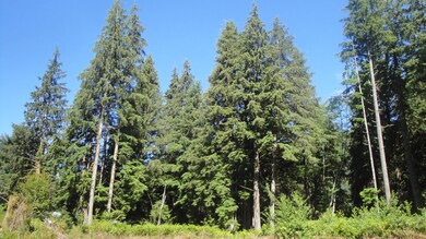 0 Miami Foley Rd unit 16-552, Nehalem, OR 97131 - photo 6