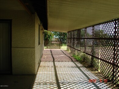Back Patio