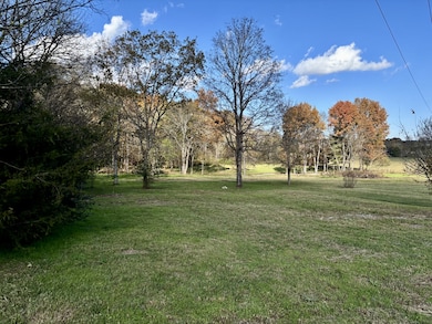 4740 Ash Hill Rd, Spring Hill, TN 37174 - photo 4