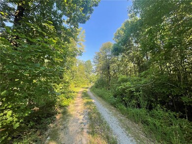 166 Acres Hwy 377, Marshall, AR 72650 - photo 6