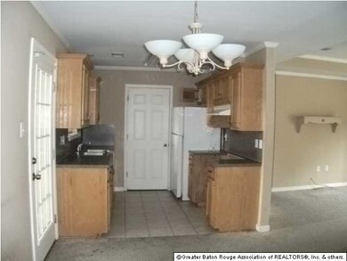 3290 Old Baker Rd, Zachary, LA 70791 - photo 2