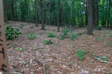 0000-Unit 41 Trailside Dr, Weldon Township, MI 49683 - photo 4