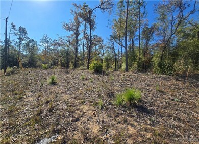 11136 N Vesta Point, Dunnellon, FL 34434 - photo 4