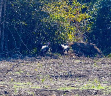 17500 County Road 3762, Coalgate, OK 74538 - photo 5