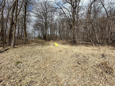 xxx Honeysuckle Ln SW, Kensington, MN 56343 - photo 4