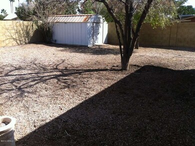 Huge Yard