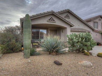 Desert Landscaping