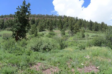 curtis view 3