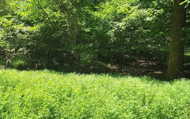 Additional View