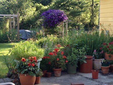 Garden1