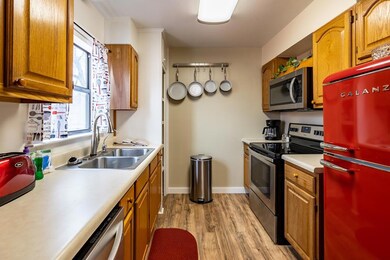 303 W Nimitz St, Fredericksburg, TX 78624 - photo 6