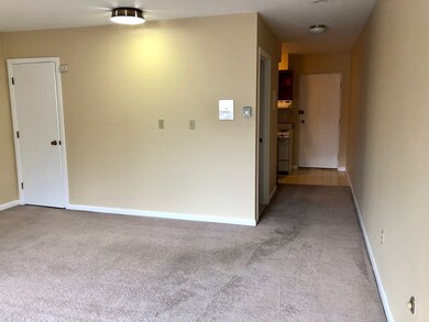 33 Paul St unit 27, Newton Center, MA 02459 - photo 3