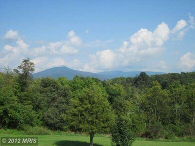 313 Hinton Rd, Luray, VA 22835 - photo 6