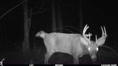 577 Schodack Landing Rd, Schodack Landing, NY 12156 - photo 2