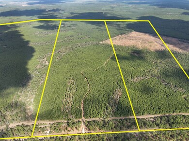 T-3 Farm To Market Road 247, Huntsville, TX 77340 - photo 2