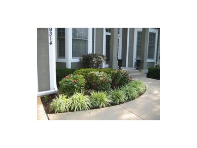 Lush Landscaping