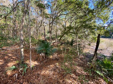 4625LazyCreek-Wadmalaw-1756