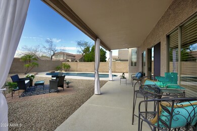 Resort style Backyard