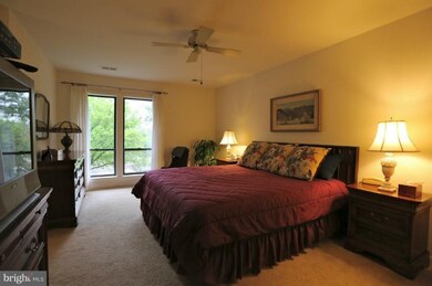 5341 Strathmore Ave, Kensington, MD 20895 - photo 5