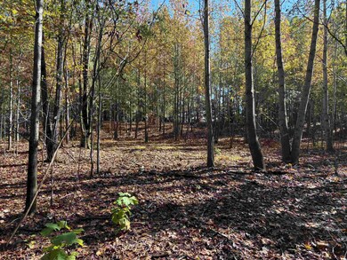 0 Bethuel Rd unit Lot 11, Unincorporated, TN 38053 - photo 6