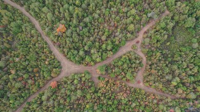Aerial overview of property's location