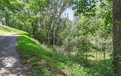 Additional View