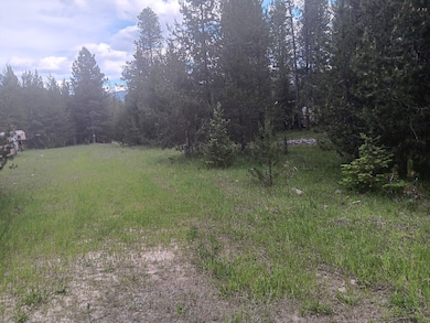 763 Upper Cotton Ln, de Borgia, MT 59830 - photo 2