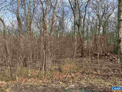 68 Pedlars End, Roseland, VA 22967 - photo 2