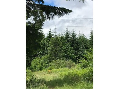 00 Cater (East) Rd, Warren, OR 97053 - photo 5