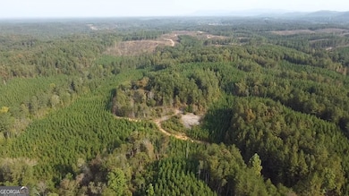 0 Possum Hollow Rd SE, Fairmount, GA 30139 - photo 4