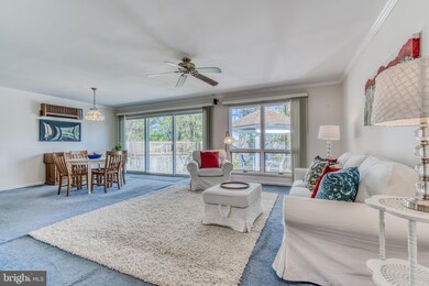 8400 Hallmark Cir, Parkville, MD 21234 - photo 7