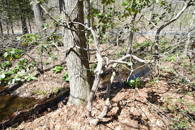 Babbling brook
