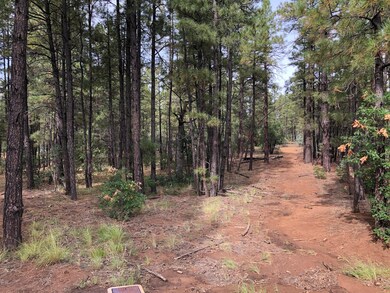 1321 S Bristlecone Dr, Show Low, AZ 85901 - photo 2