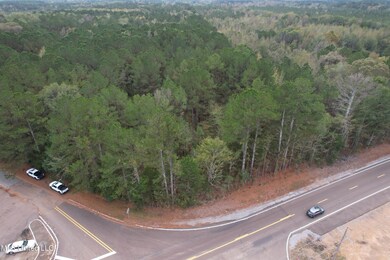 DJI_0859