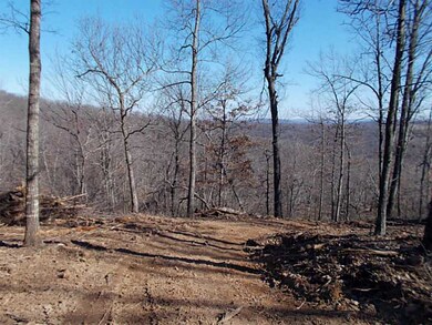 20 Acres Low Gap Rd, West Fork, AR 72774 - photo 5