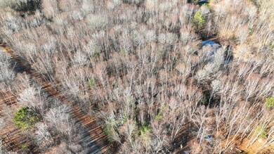 ON Timbershore Dr, Three Lakes, WI 54562 - photo 7