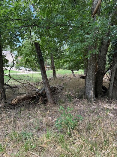 View of local wilderness