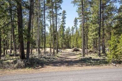 browning pic2