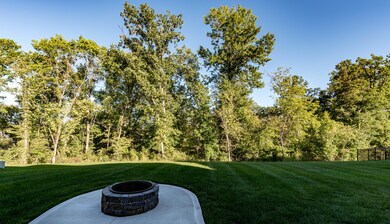 Backs to Trees