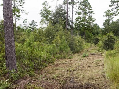 0000 Dixie-Barwick Rd, Boston, GA 31626 - photo 3