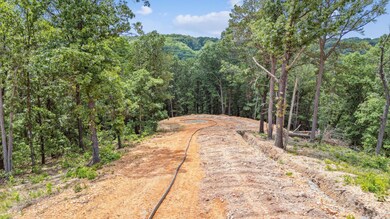 64128 E 225 Rd Tbd Lot 7, Wyandotte, OK 74126 - photo 4