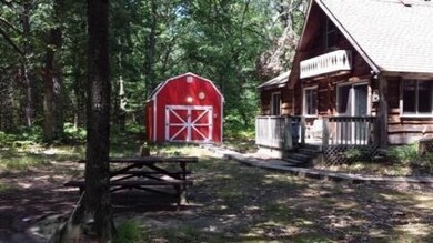 8232 W Fernwood Ave, Baldwin, MI 49304 - photo 2