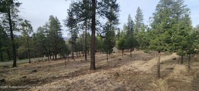 unlisted-address, Ruidoso, NM 88345 - photo 3